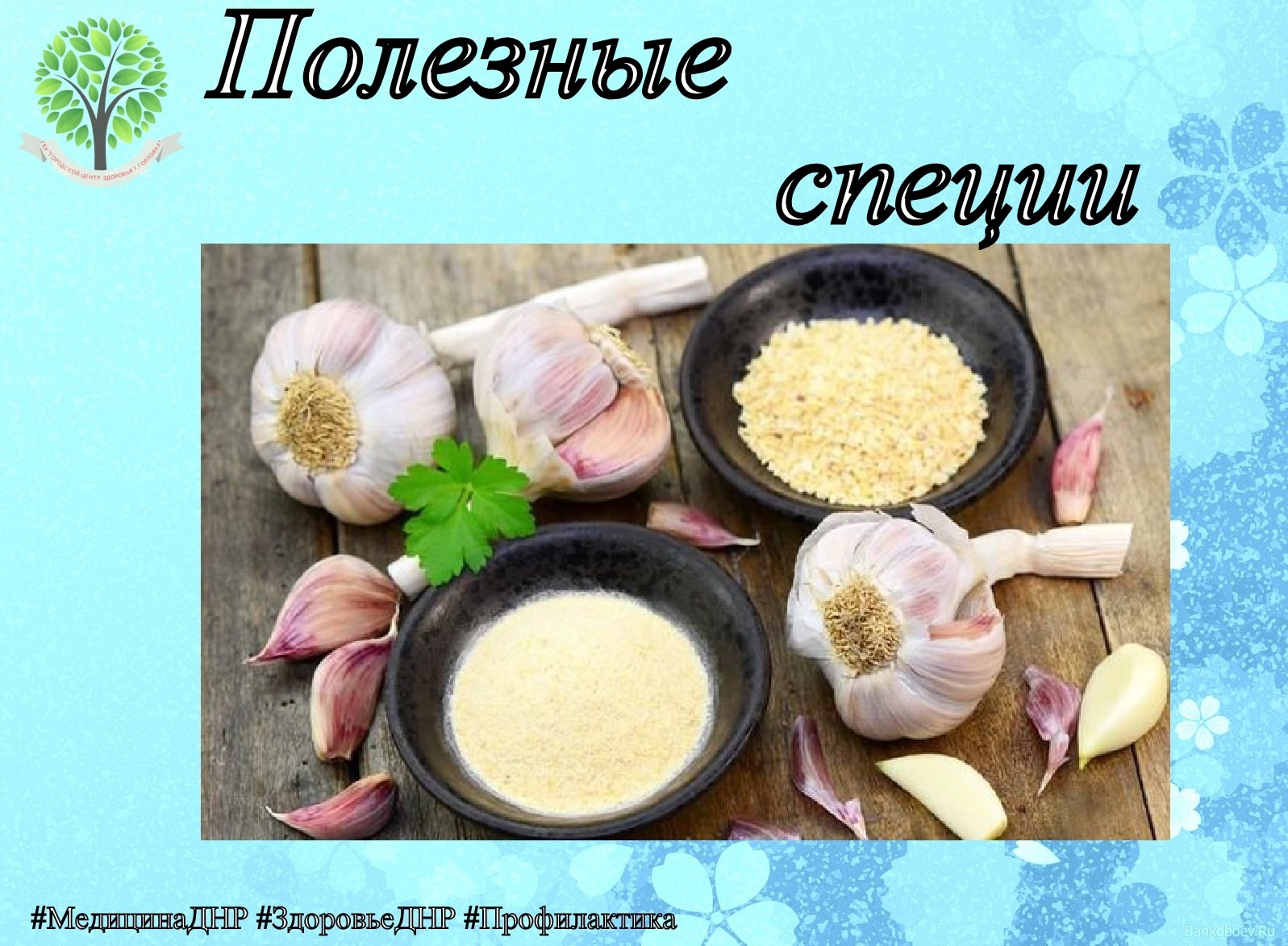 ВКУСНЫЕ И ПОЛЕЗНЫЕ СПЕЦИИ: ЧЕСНОК.