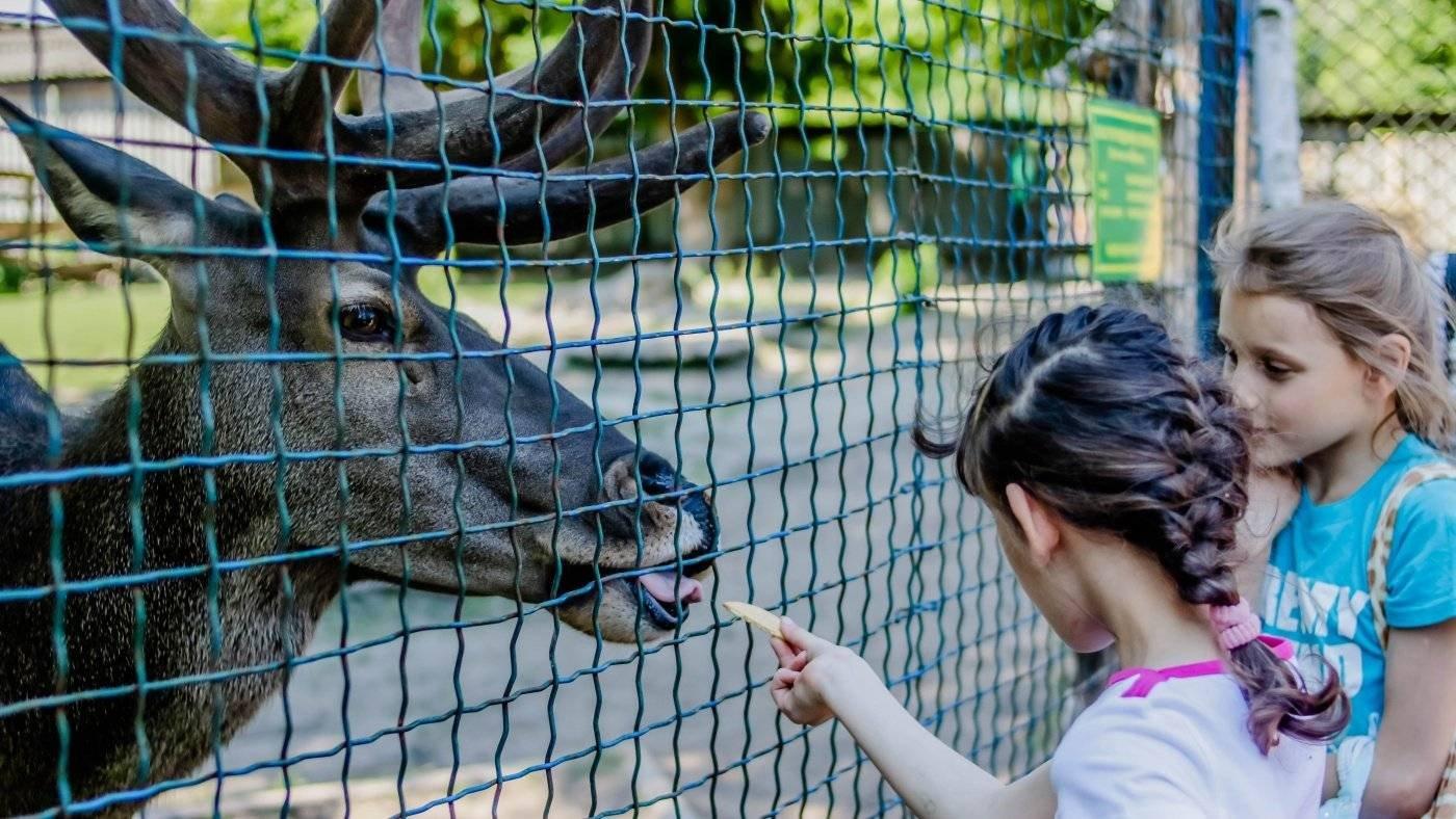 Кузбасс сделает подарок для ребят Горловского дома ребенка.