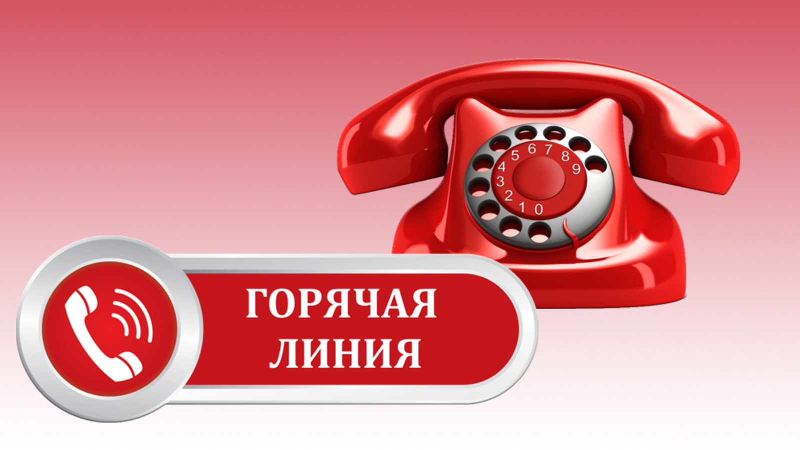 Территориальный отдел Управления Роспотребнадзора по Донецкой Народной Республике в городе Горловка и Артемовском районе  проводит «горячую линию».