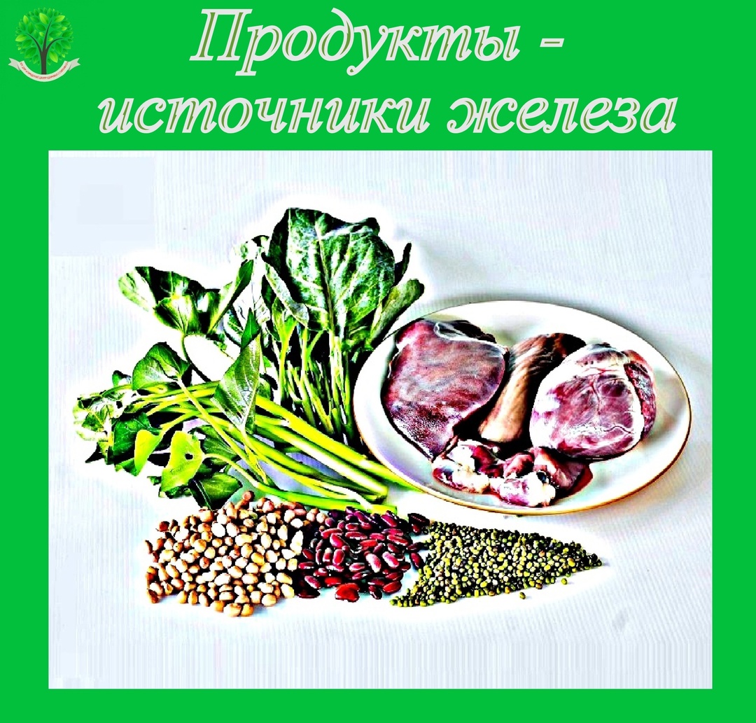 Продукты - источники железа.