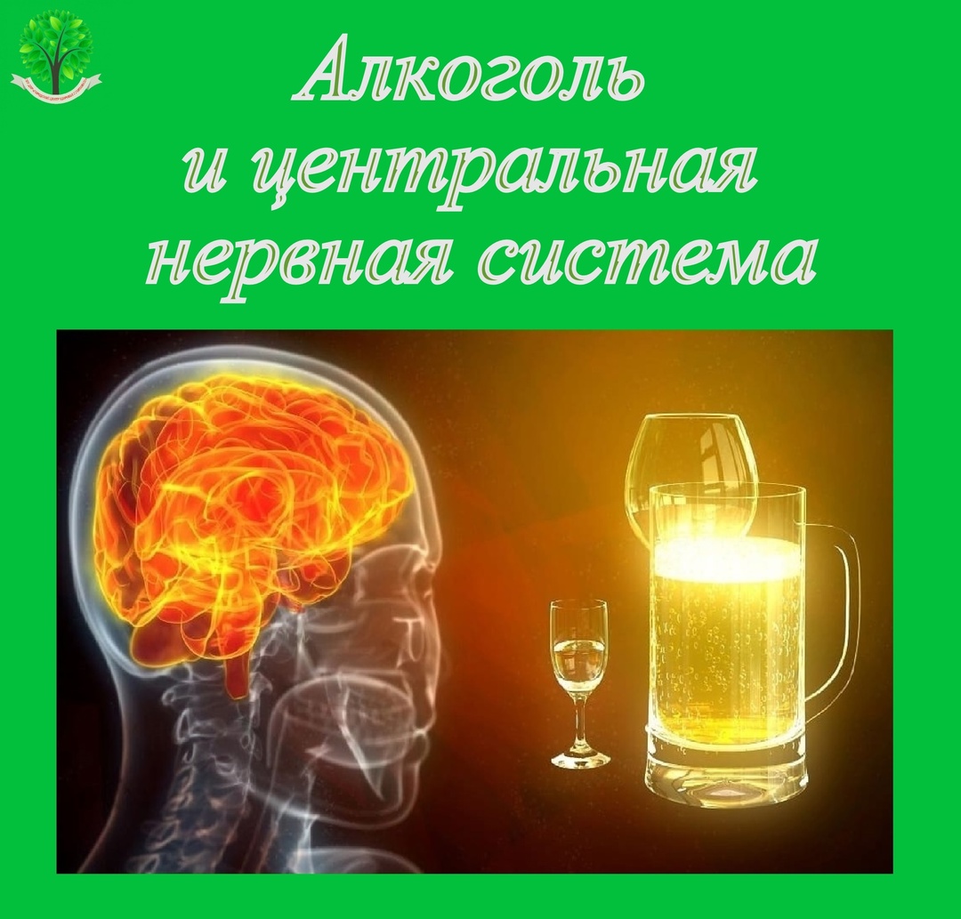 Алкоголь и центральная нервная система.
