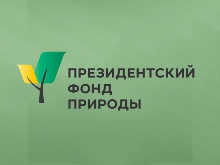 Приглашаем всех заинтересованных принять участие в конкурсе на предоставление грантов Президента Российской Федерации.