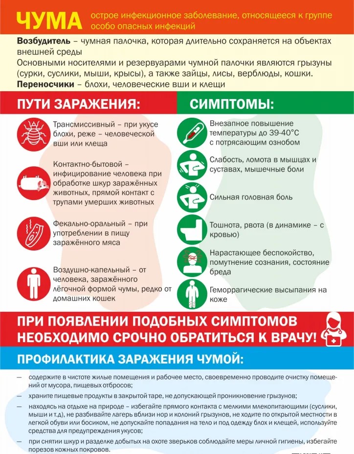 ЧУМА - острое инфекционное заболевание, относящееся к группе особо опасных инфекций.