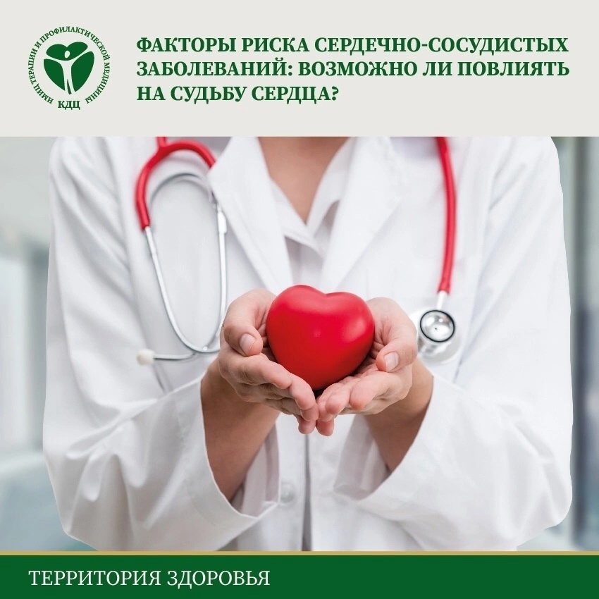 Факторы риска сердечно-сосудистых заболеваний: возможно ли повлиять на судьбу сердца?.