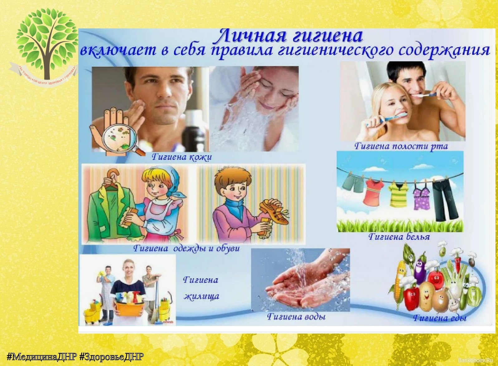 ПОЧЕМУ ТАК ВАЖНА ГИГИЕНА?.