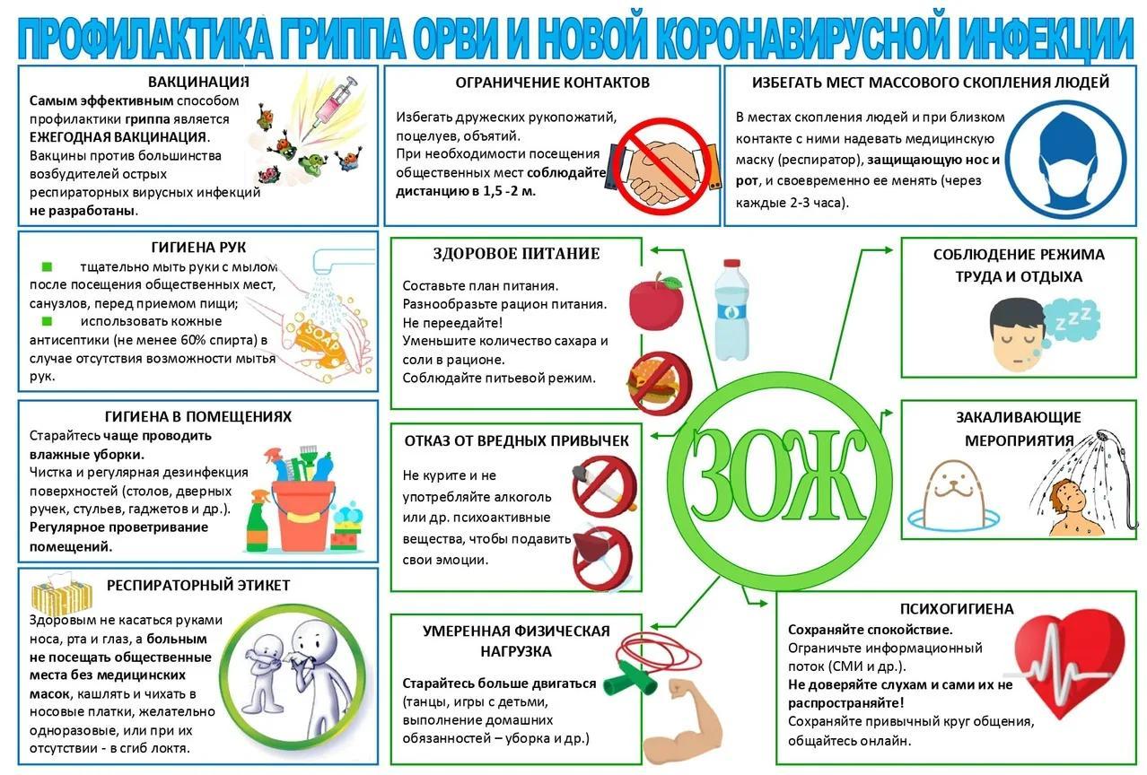 Профилактика гриппа, ОРВИ и новой коронавирусной инфекции. Сальмонеллез. Азбука природного иммунитета..