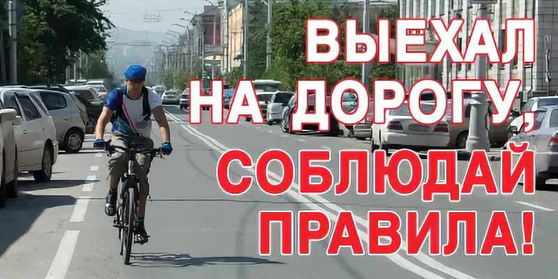 Велосипеды становятся все более популярным транспортным средством.