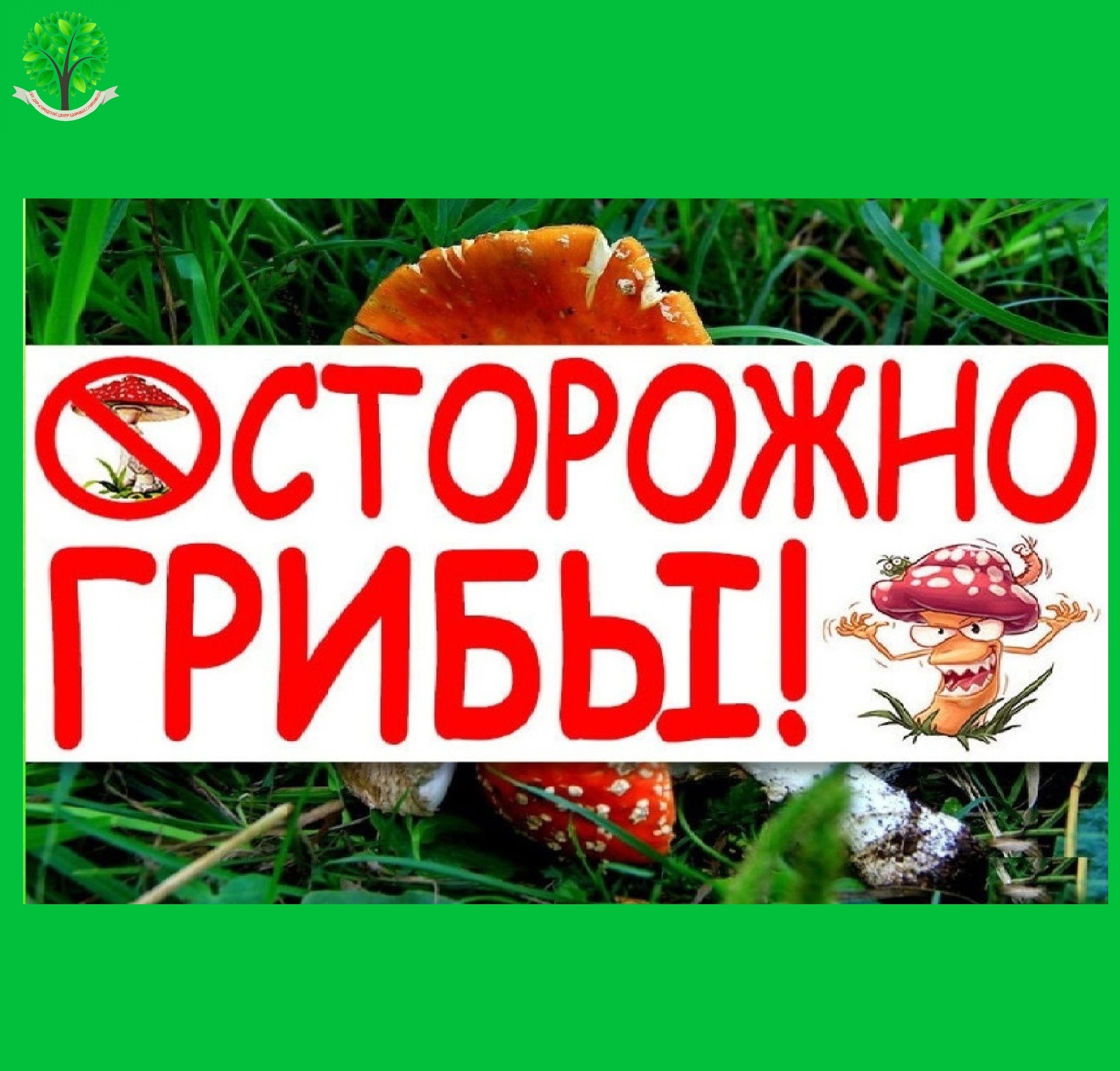 Осторожно: начался весенний сезон грибов.