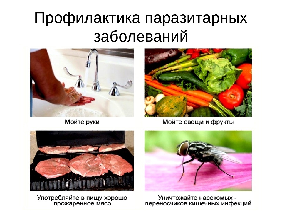Паразитарные инфекции.
