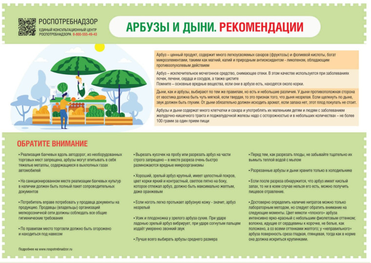 Арбузы и дыни. Рекомендации.. Арбузы и дыни. Рекомендации..