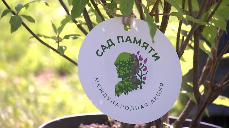 В пятом сезоне акции «Сад памяти» определят самые активные регионы и лучших лесников страны. В пятом сезоне акции «Сад памяти» определят самые активные регионы и лучших лесников страны.