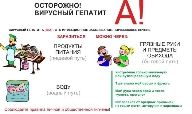 Памятка по профилактике вирусного гепатита А. Памятка по профилактике вирусного гепатита А.