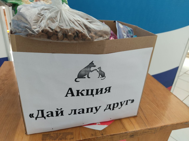 Доброслужащие администрации городского округа Горловка Донецкой Народной Республики приняли участие в Федеральной акции "Дай лапу друг". Доброслужащие администрации городского округа Горловка Донецкой Народной Республики приняли участие в Федеральной акции "Дай лапу друг".