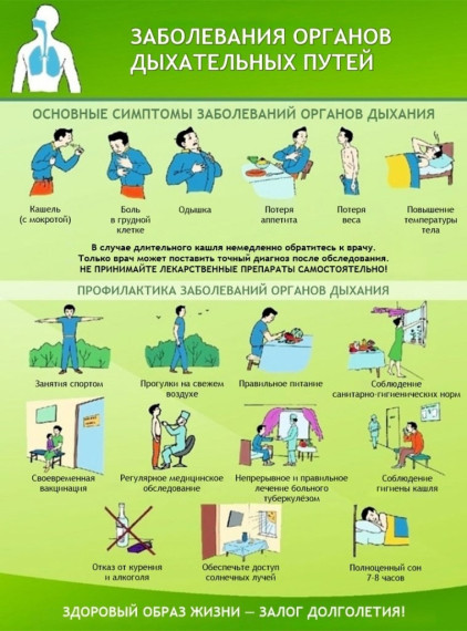 Профилактика заболеваний органов дыхания. Профилактика заболеваний органов дыхания.