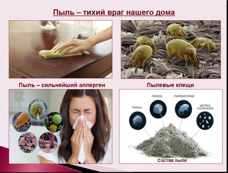 Домашняя пыль - тихий враг нашего дома. Домашняя пыль - тихий враг нашего дома.