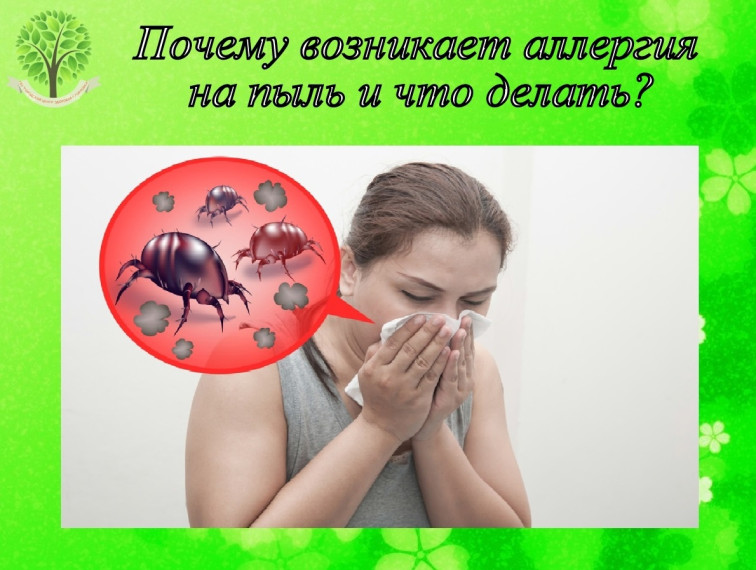 Почему возникает аллергия на пыль и что делать. Почему возникает аллергия на пыль и что делать.