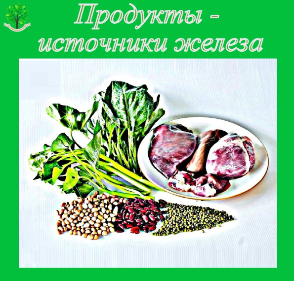Продукты - источники железа. Продукты - источники железа.