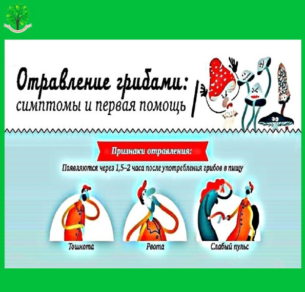 Основные признаки отравления грибами. Основные признаки отравления грибами.