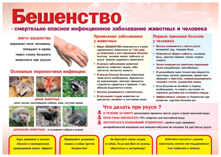 Территориальный отдел Управления Роспотребнадзора по Донецкой Народной Республике в городе Горловка и Артемовском районе НАПОМИНАЕТ о ПРОФИЛАКТИКЕ БЕШЕНСТВА. Территориальный отдел Управления Роспотребнадзора по Донецкой Народной Республике в городе Горловка и Артемовском районе НАПОМИНАЕТ о ПРОФИЛАКТИКЕ БЕШЕНСТВА.