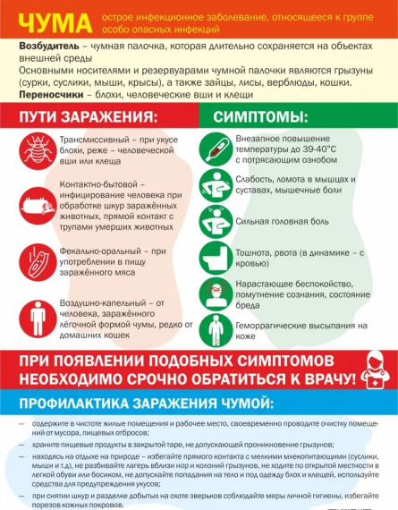 ЧУМА - острое инфекционное заболевание, относящееся к группе особо опасных инфекций. ЧУМА - острое инфекционное заболевание, относящееся к группе особо опасных инфекций.